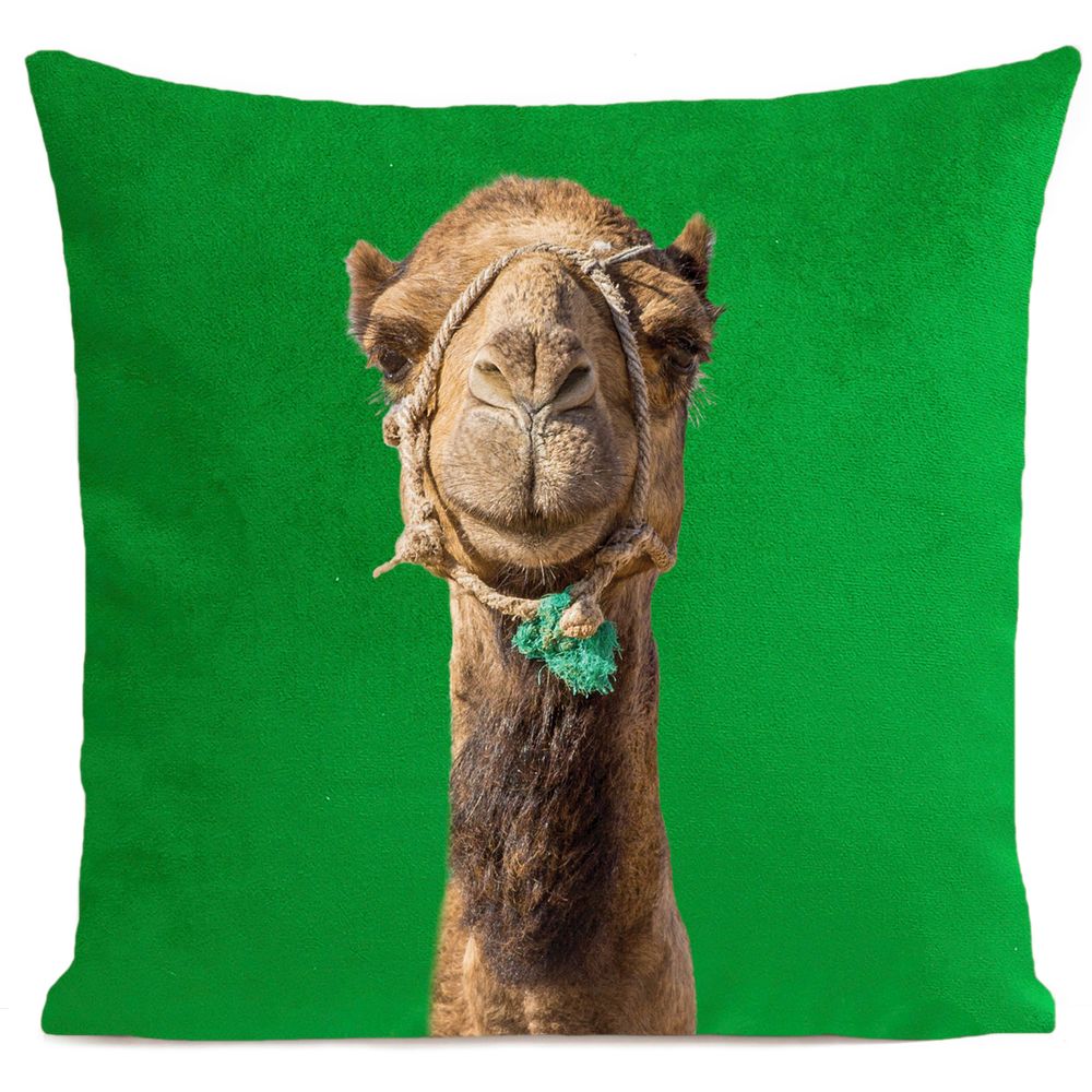 Fabric cushions - Smiling CAMEL Cushion 40*40 - ARTPILO