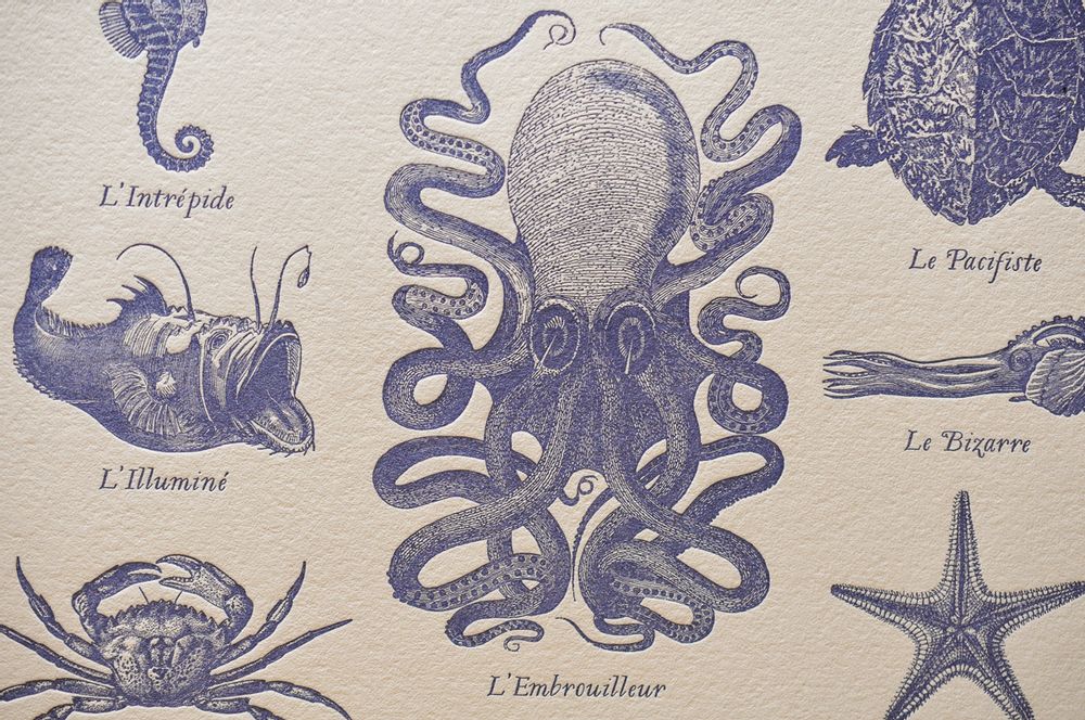 Affiches - Tirage d'Art Créatures Marines Fantastiques - L'ATELIER LETTERPRESS