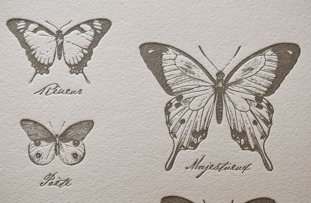 Poster - Art print Extraordinary Butterflies - L'ATELIER LETTERPRESS