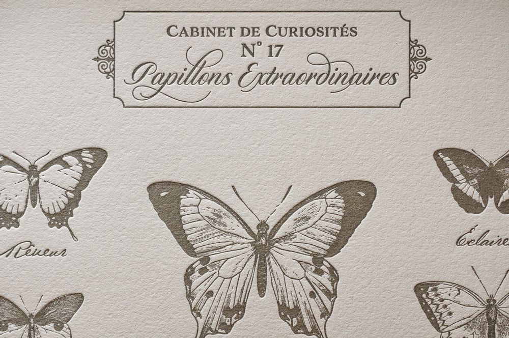 Poster - Art print Extraordinary Butterflies - L'ATELIER LETTERPRESS