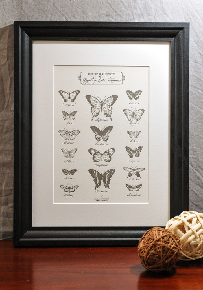 Poster - Art print Extraordinary Butterflies - L'ATELIER LETTERPRESS