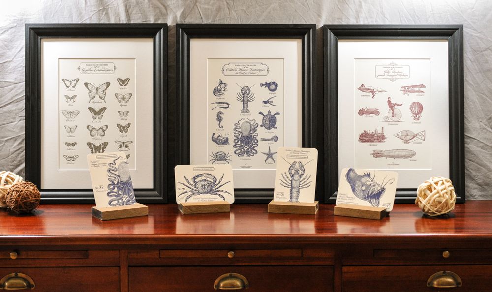 Poster - Art print Extraordinary Butterflies - L'ATELIER LETTERPRESS