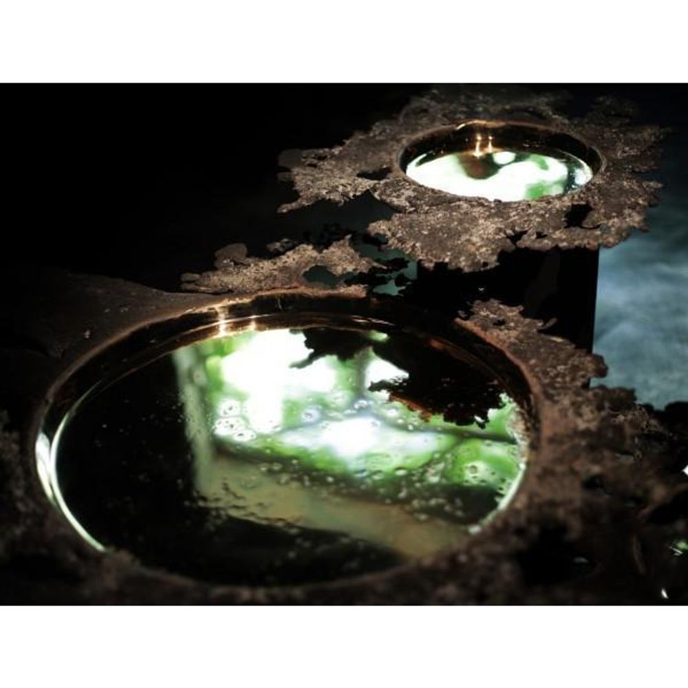 Mirrors - 19 SERIES - TONICIE'S