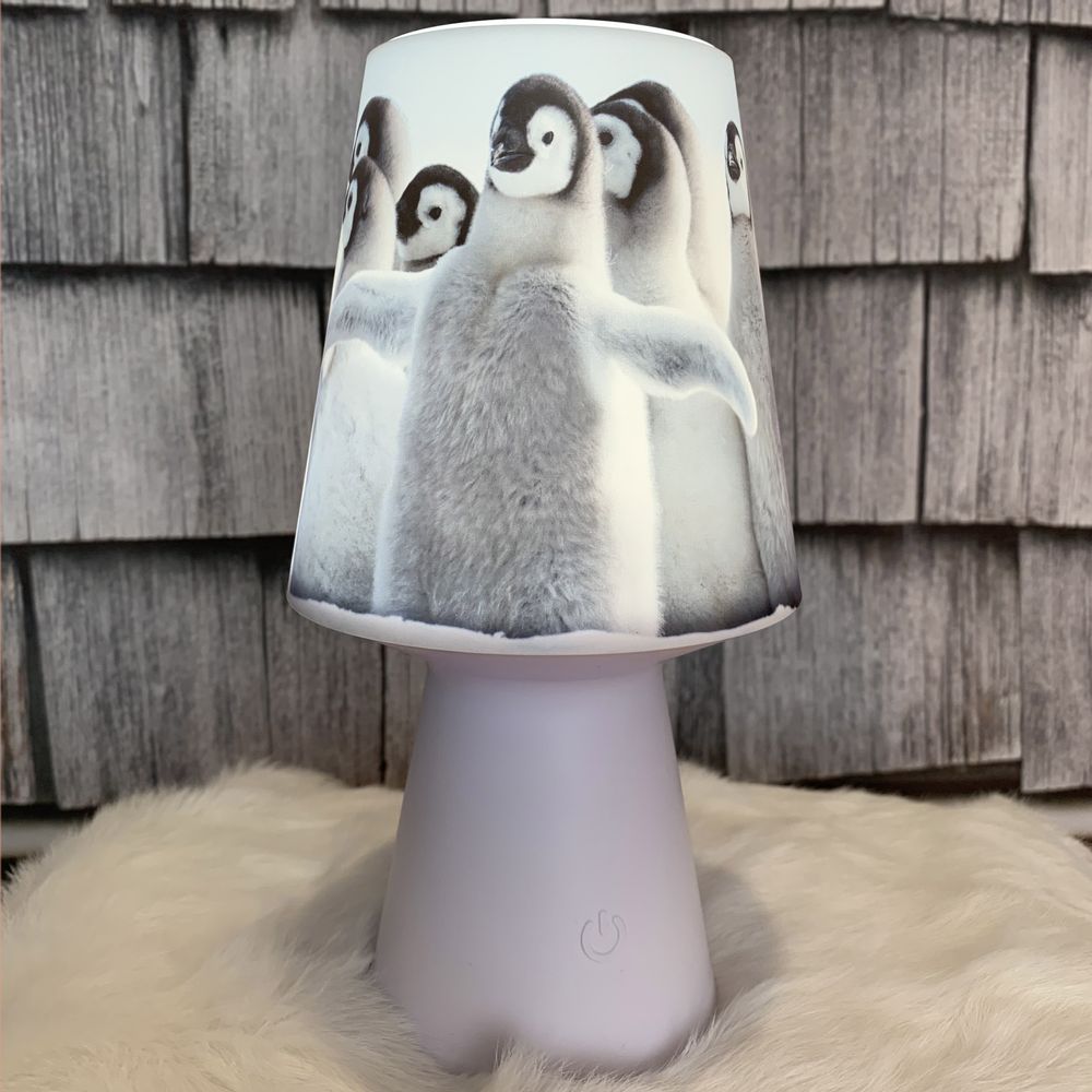 Lampes de table extérieures - LAMPE NOMADE MONTAGNE - PLAGE DES DEMOISELLES