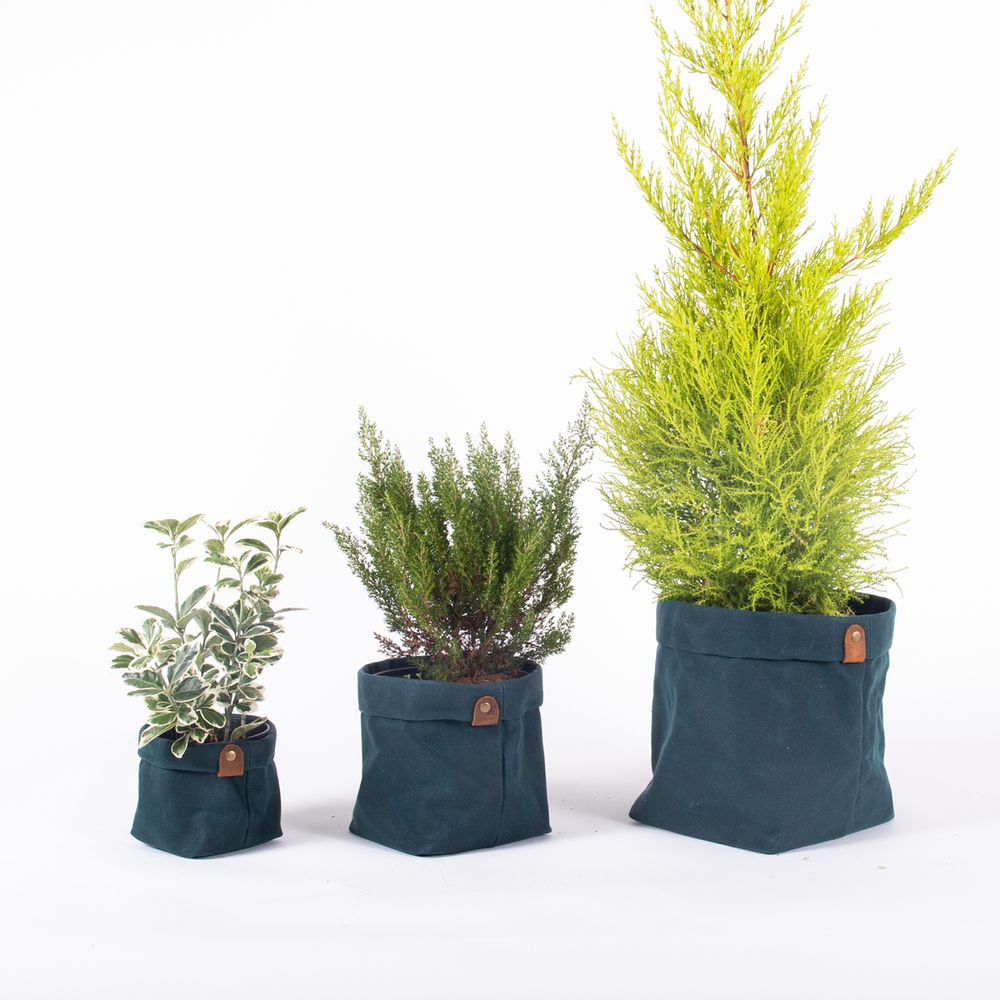Shopping baskets - Set of 3 planter pots - ALASKAN MAKER