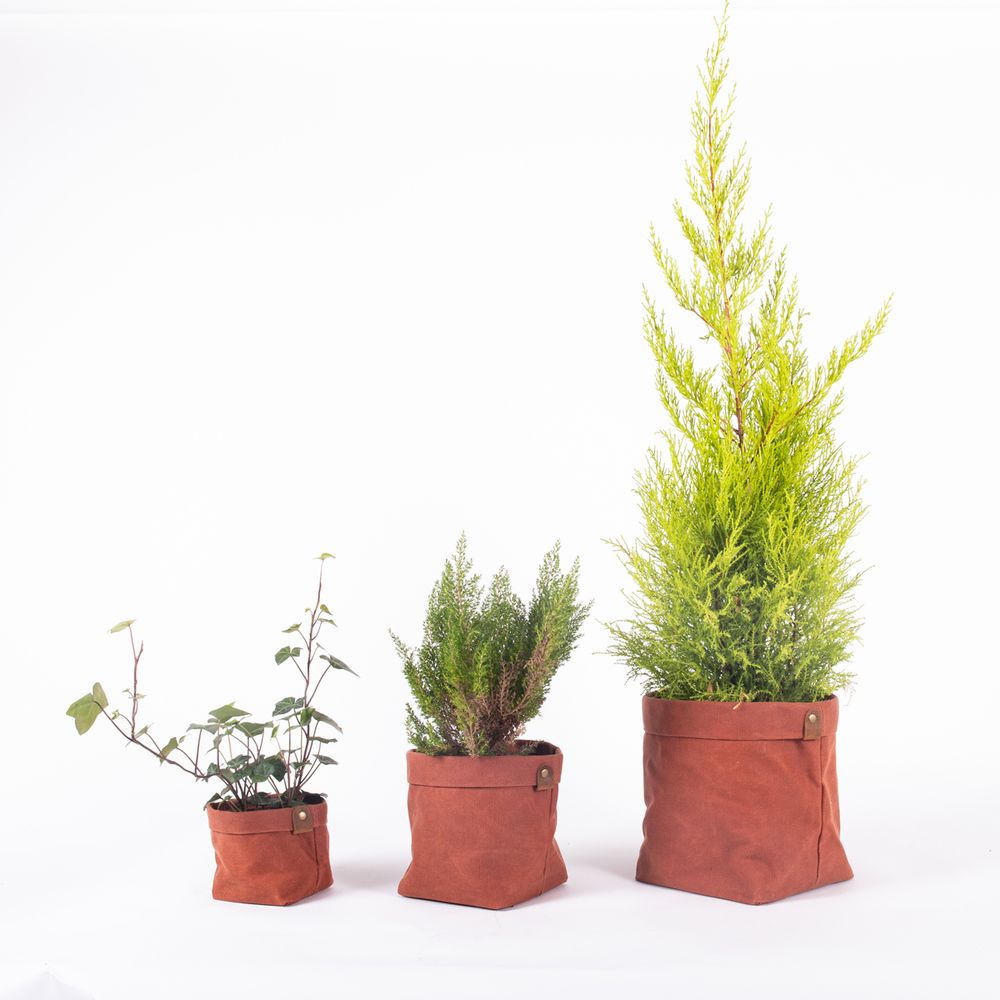 Shopping baskets - Set of 3 planter pots - ALASKAN MAKER