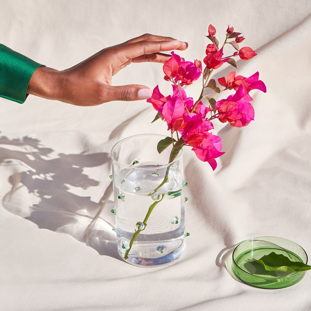 Design objects - Agave Glass Container - OCTAEVO