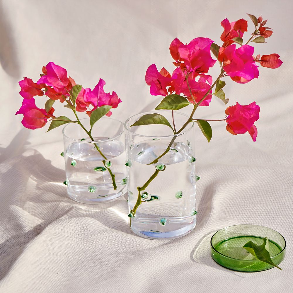 Design objects - Agave Glass Container - OCTAEVO