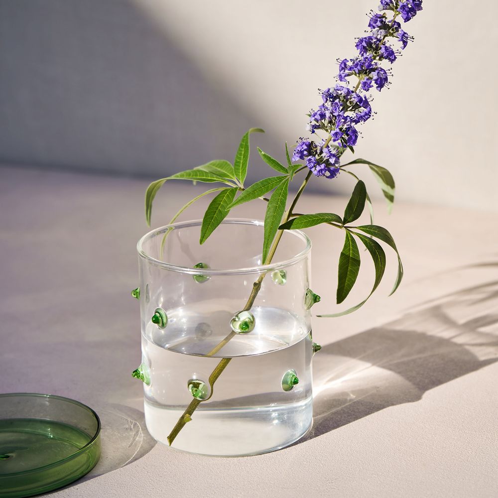 Design objects - Agave Glass Container - OCTAEVO