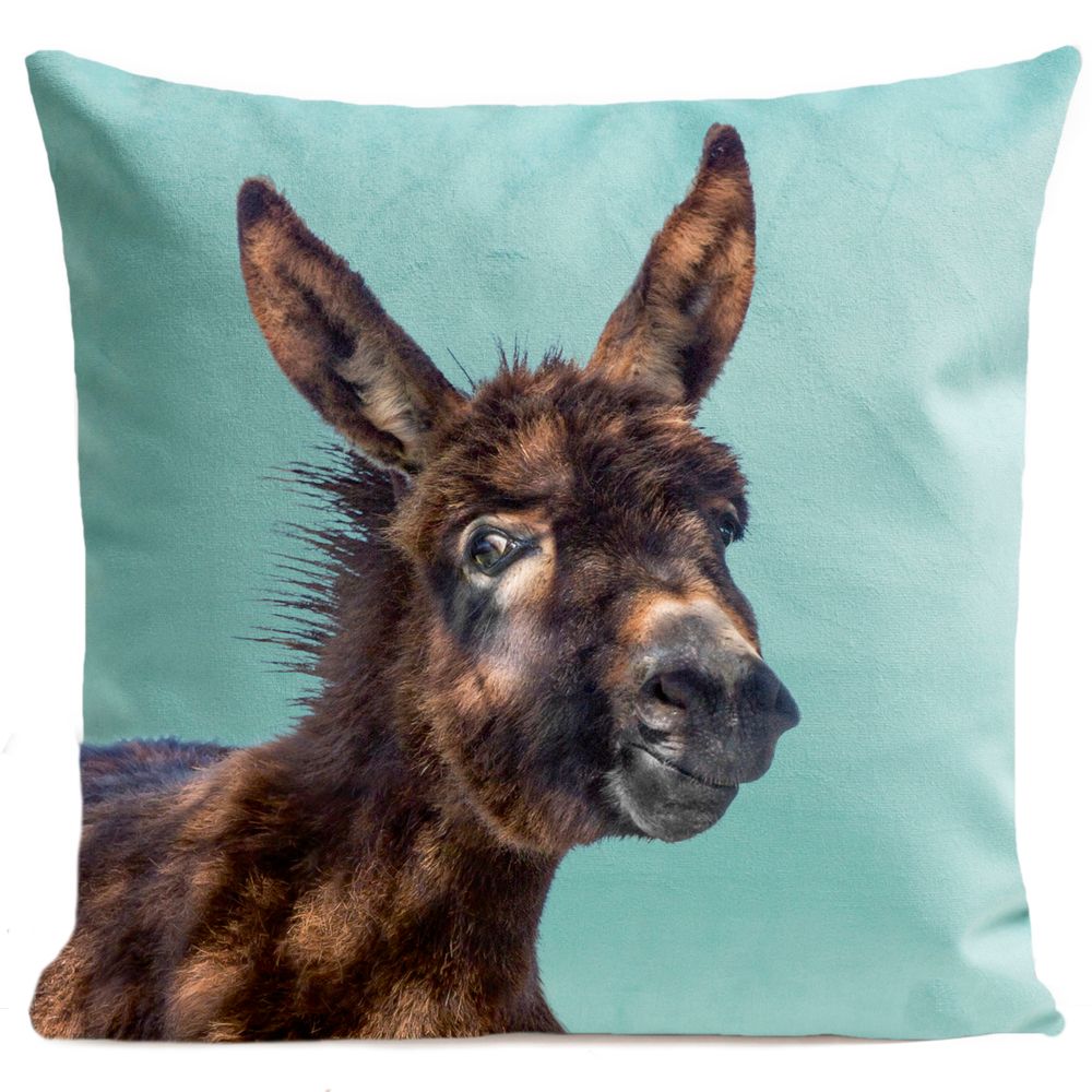 Fabric cushions - BABY DONKEY Cushion 40*40 - ARTPILO