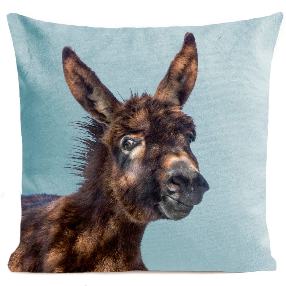 Fabric cushions - BABY DONKEY Cushion 40*40 - ARTPILO
