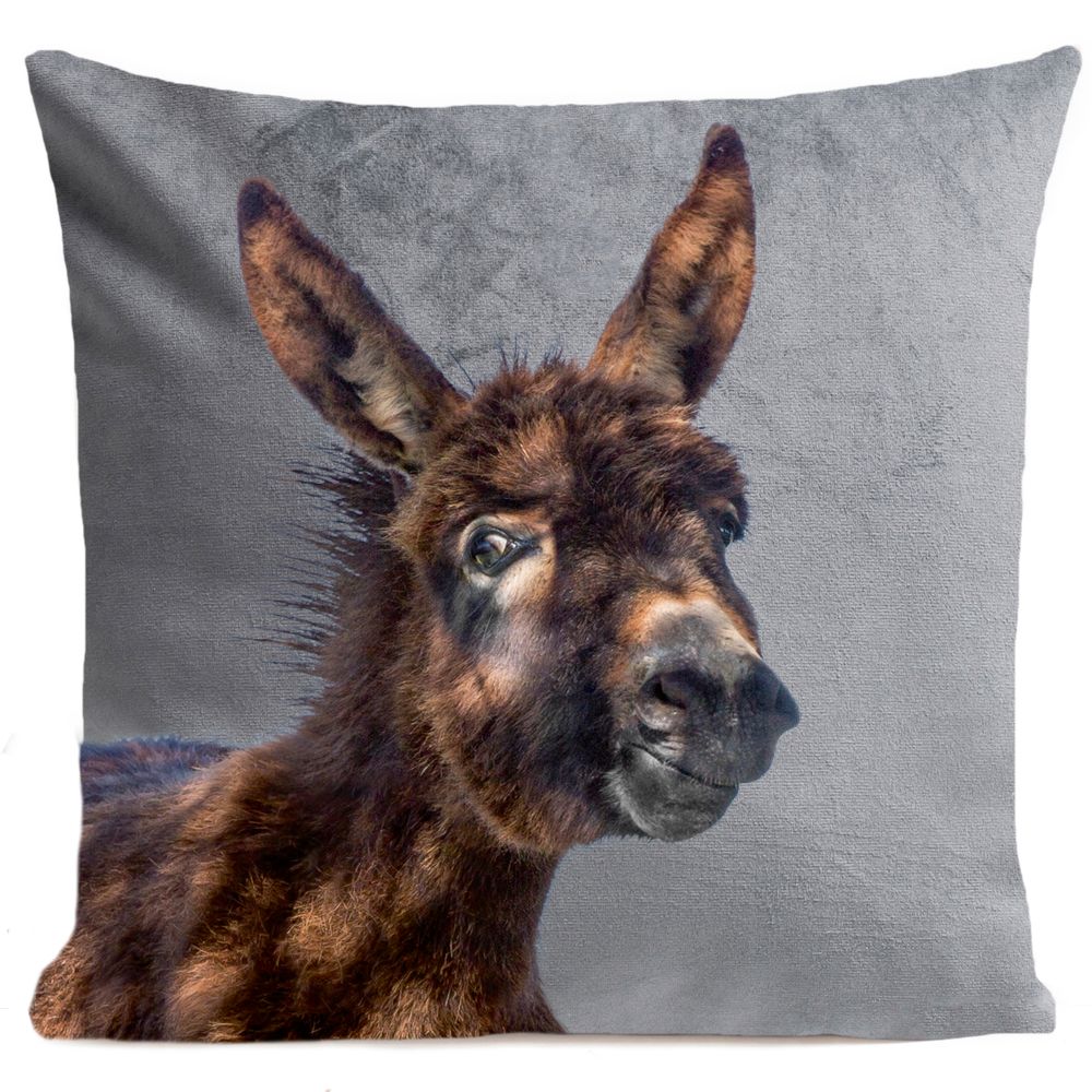 Fabric cushions - BABY DONKEY Cushion 40*40 - ARTPILO