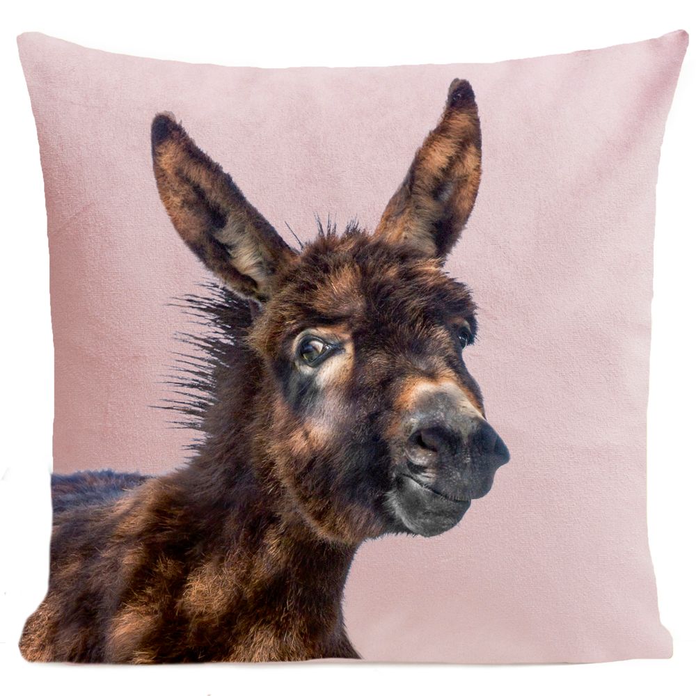 Fabric cushions - BABY DONKEY Cushion 40*40 - ARTPILO