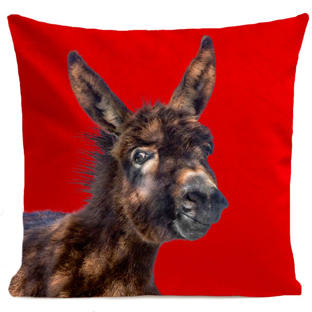 Fabric cushions - BABY DONKEY Cushion 40*40 - ARTPILO