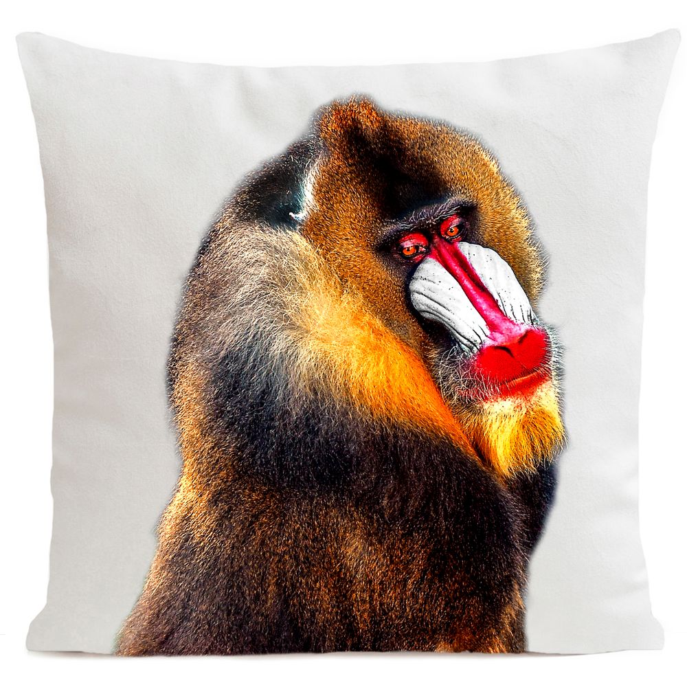 Fabric cushions - BOBO Cushion 40*40 - ARTPILO