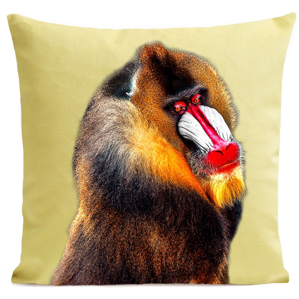 Fabric cushions - BOBO Cushion 40*40 - ARTPILO