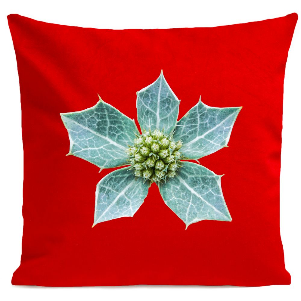 Fabric cushions - CAMDEM PARROT Cushion 40*40 - ARTPILO