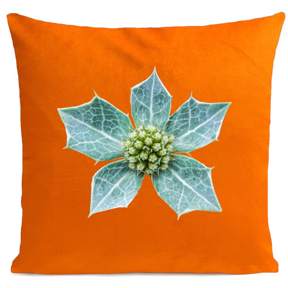 Fabric cushions - CAMDEM PARROT Cushion 40*40 - ARTPILO