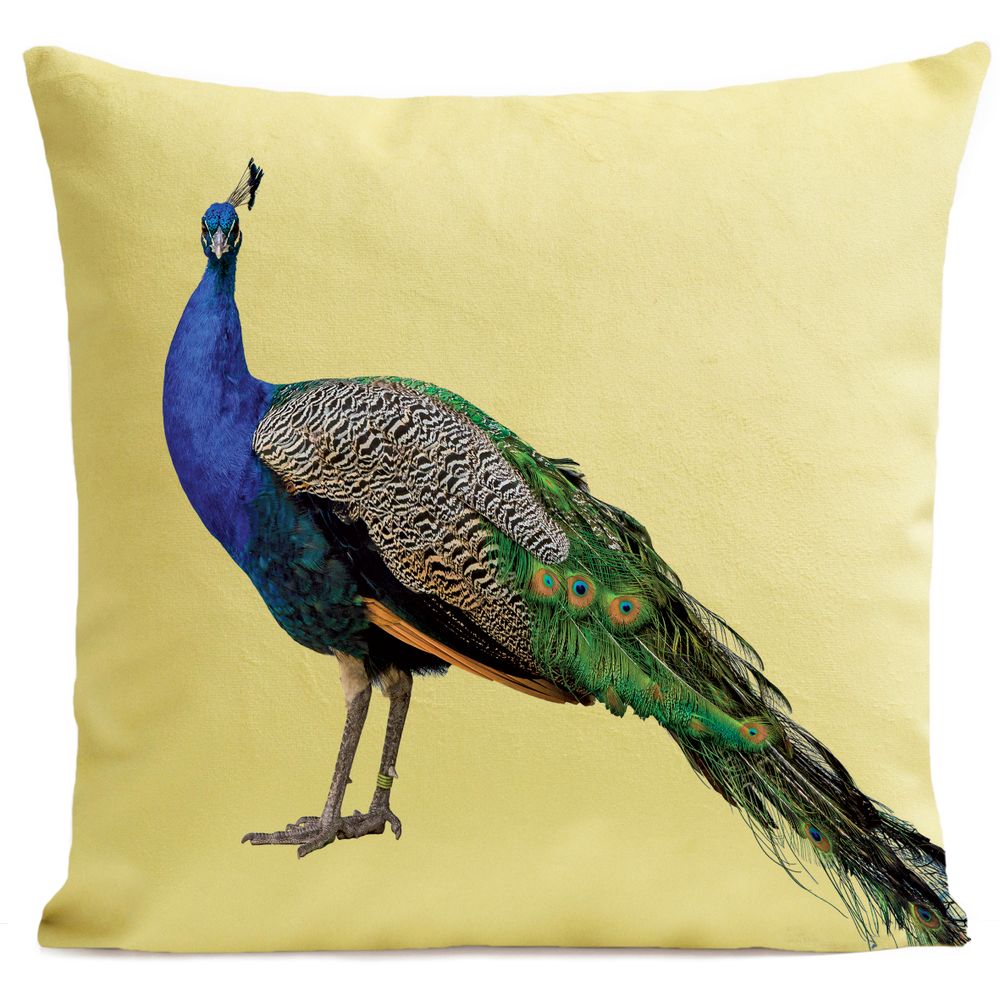 Fabric cushions - ROYAL PEACOCK Cushion 40*40 - ARTPILO