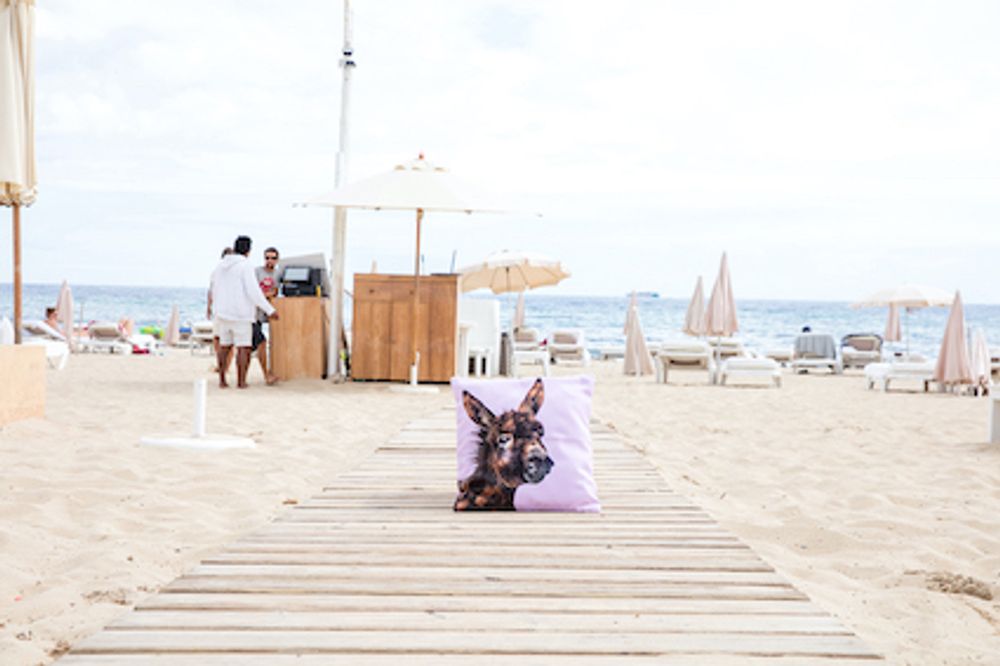 Fabric cushions - BABY DONKEY Cushion 40*40 - ARTPILO