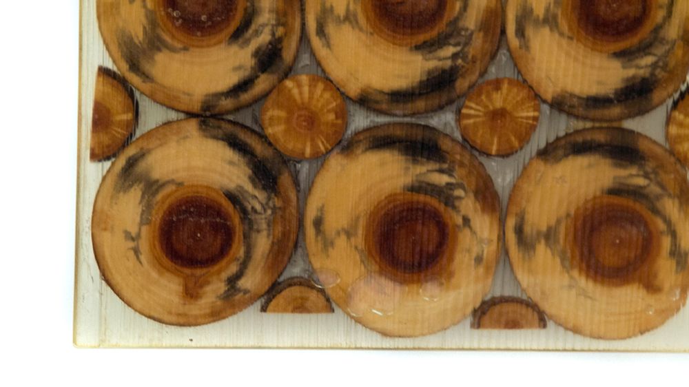 Design objects - Sushi Tray - LIVING MEDITERANEO