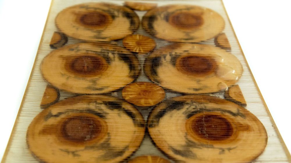 Design objects - Sushi Tray - LIVING MEDITERANEO