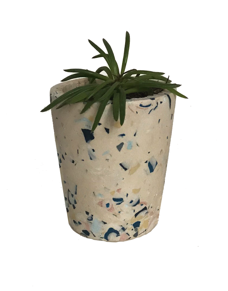 Decorative objects - Timpani - LES PIEDS DE BICHE