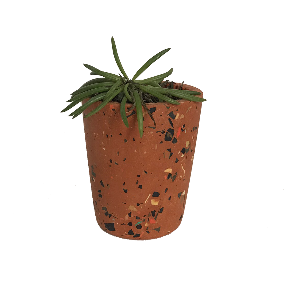 Decorative objects - Timpani - LES PIEDS DE BICHE