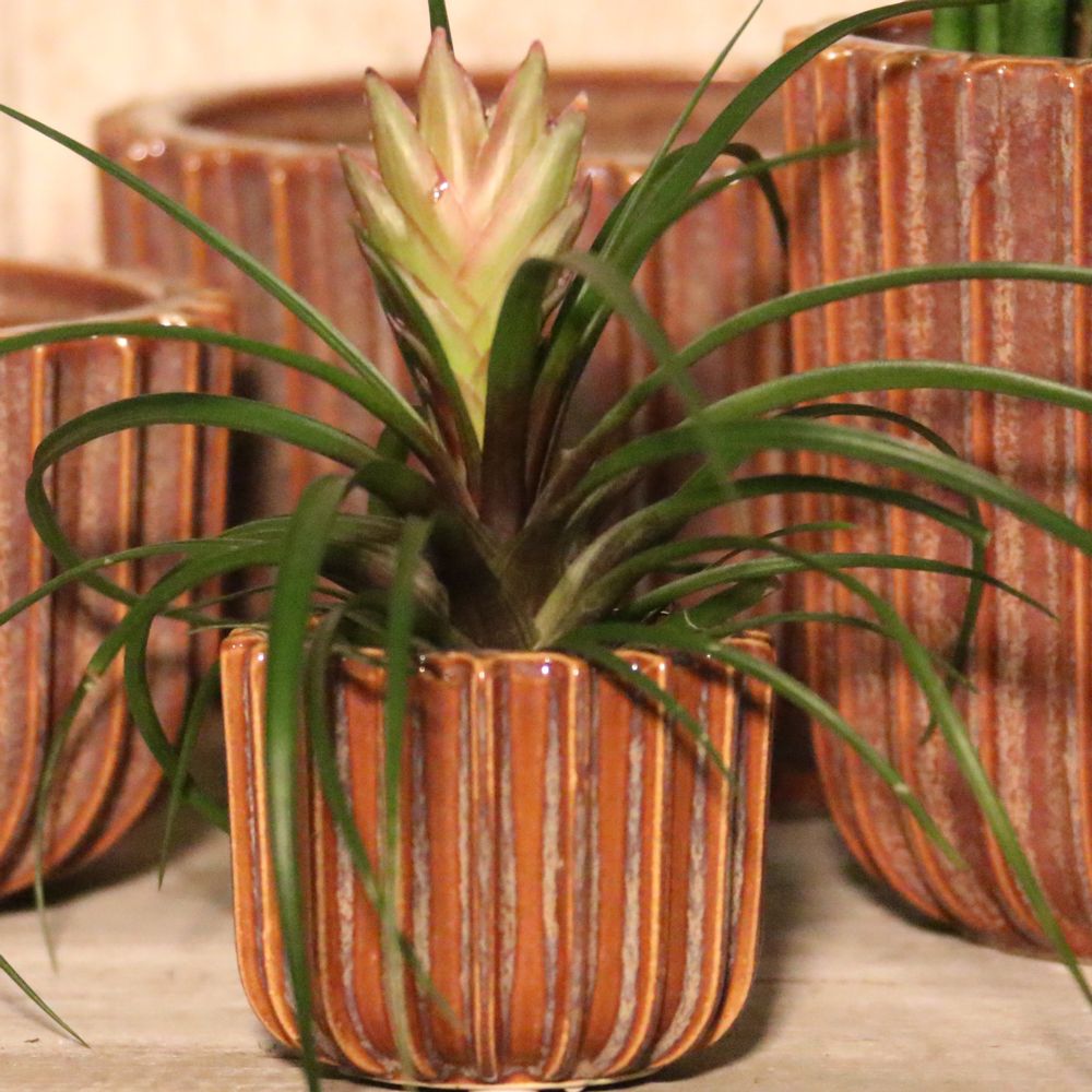 Pottery - Colorful - QUETZALES
