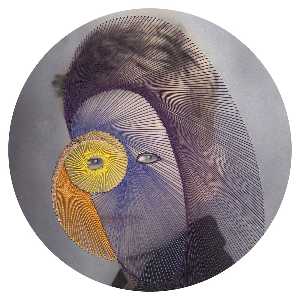 Verre d'art - Maurizio Anzeri Supports en verre recyclé Art contemporain - ZOOH
