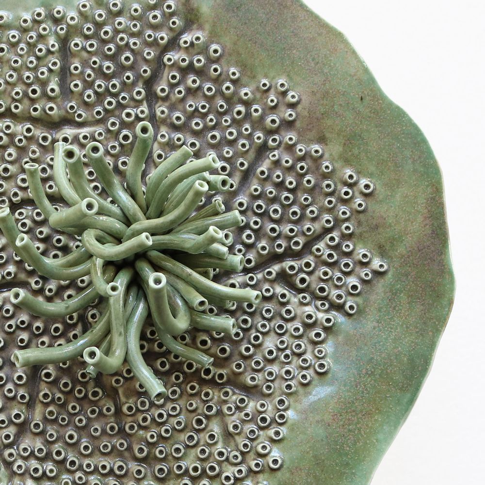 Other wall decoration - PORIFERA Green Wall Decoration - FOS