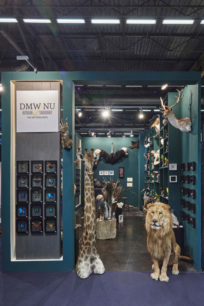 Unique pieces - Interior design with taxidermy - DMW.NU: TAXIDERMY & INTERIOR