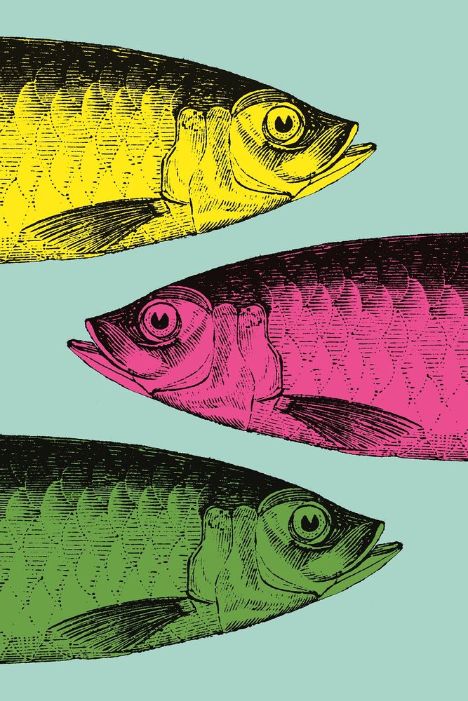 Linge d'office - Torchon Sardine - ZOOH