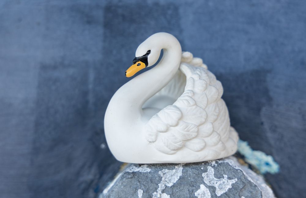 Accessoires pour bain enfants - Cygne de bain - NATRUBA