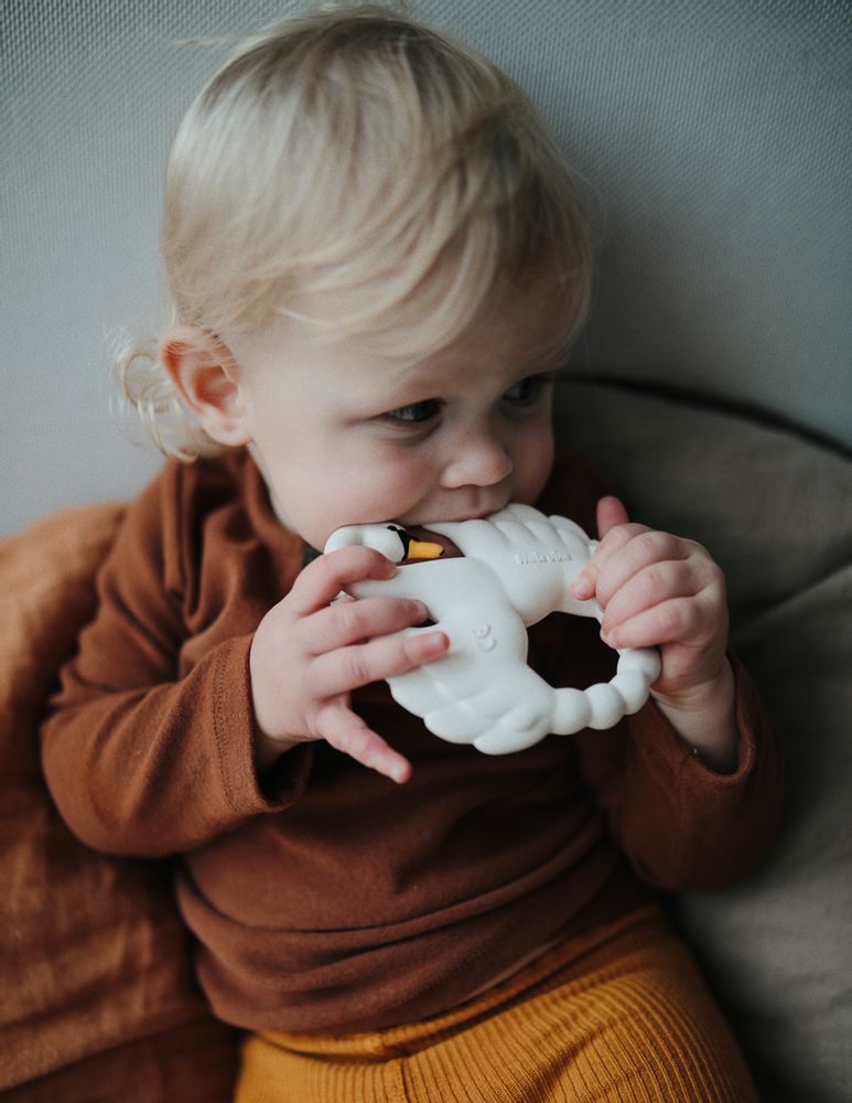 Jouets enfants - Swan teether - NATRUBA