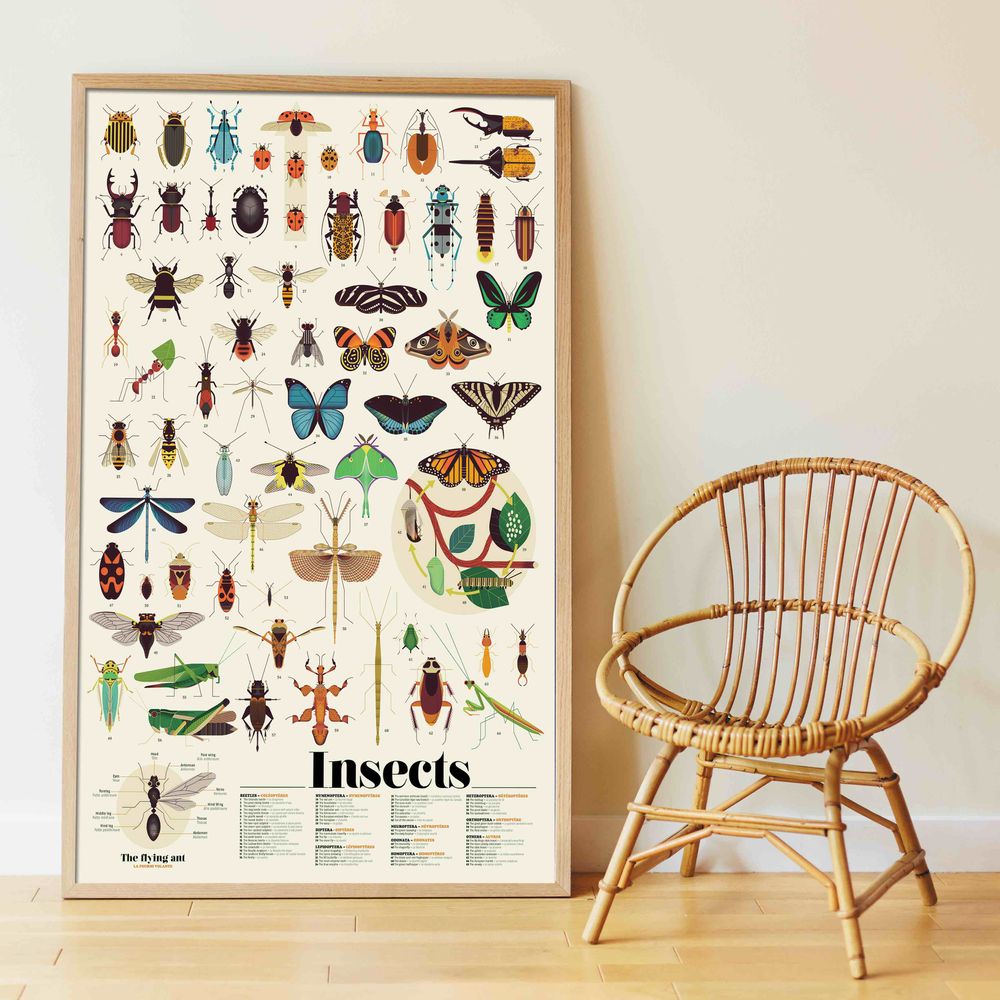 Children's arts and crafts - Educational poster + Stickers - INSECTES - POPPIK - BAYARD JEUNESSE