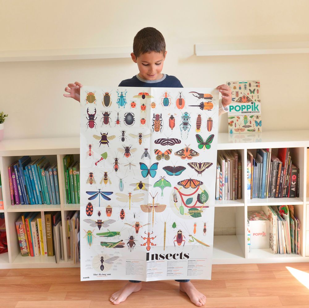 Children's arts and crafts - Educational poster + Stickers - INSECTES - POPPIK - BAYARD JEUNESSE