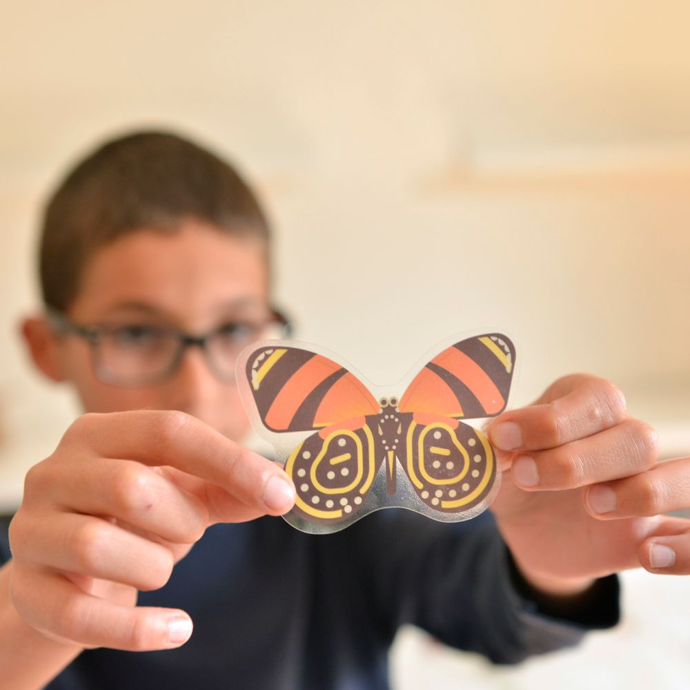 Children's arts and crafts - Educational poster + Stickers - INSECTES - POPPIK - BAYARD JEUNESSE
