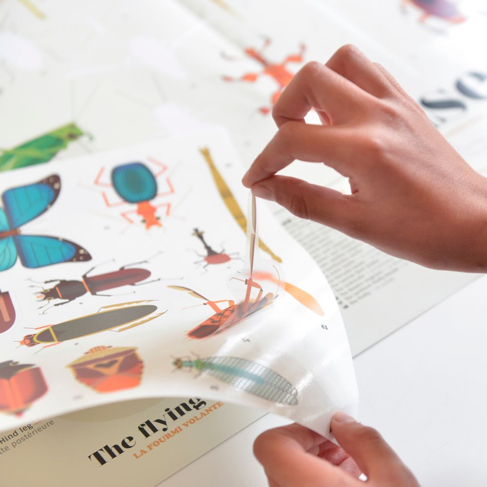 Children's arts and crafts - Educational poster + Stickers - INSECTES - POPPIK - BAYARD JEUNESSE
