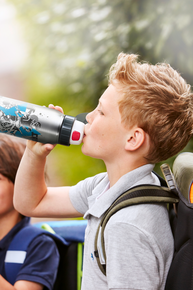 Repas pour enfant - DRINK2GO ISO2GO Gourde isotherme 0,5 L - EMSA