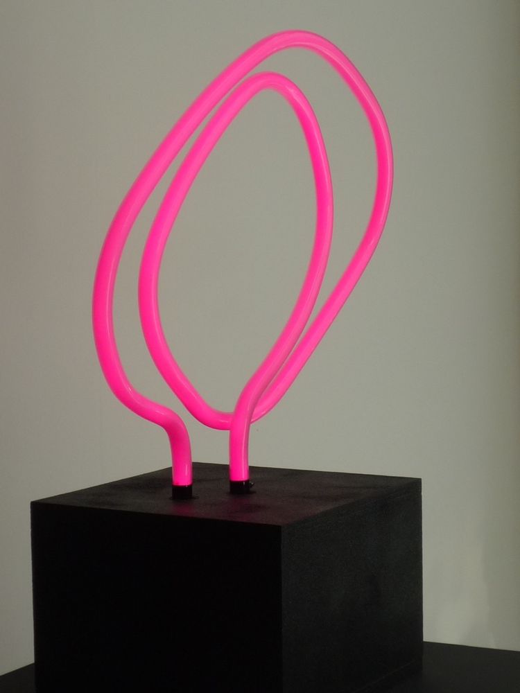 Sculptures, statuettes and miniatures - Neon Sculpture - CAROLINE BAUP