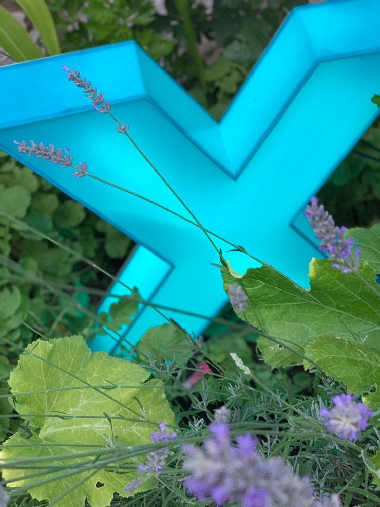 Sculptures, statuettes et miniatures - Sculpture outdoor en néon dans des caissons en  Plexiglass  - CAROLINE BAUP