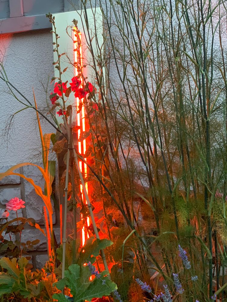 Sculptures, statuettes and miniatures - painting neon sculpture on mirror - CAROLINE BAUP