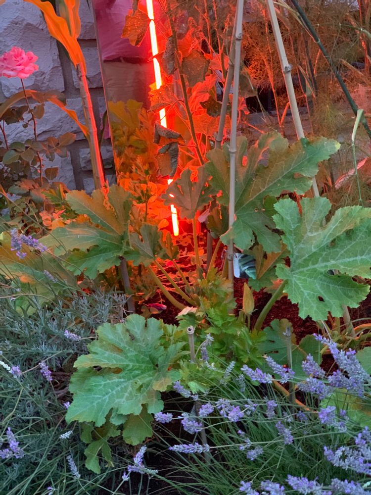 Sculptures, statuettes and miniatures - painting neon sculpture on mirror - CAROLINE BAUP