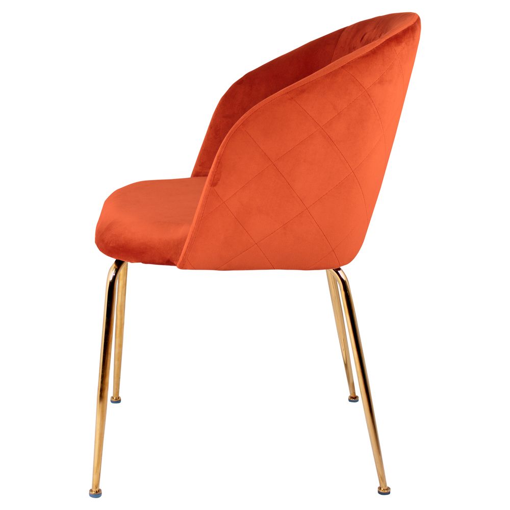 Chaises pour collectivités - Chaise SUPIN - MISTER WILS