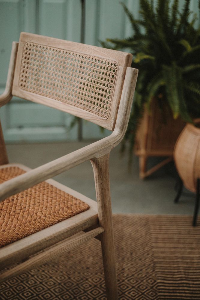Chaises pour collectivités - Chaise ISOS - MISTER WILS