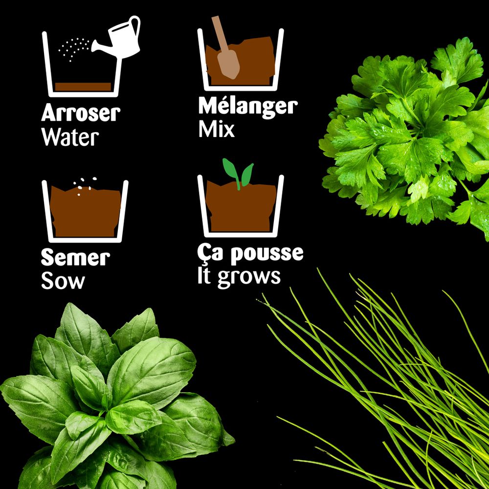 Trays - Plate range of 3 pots zinc with seeds. - RADIS ET CAPUCINE