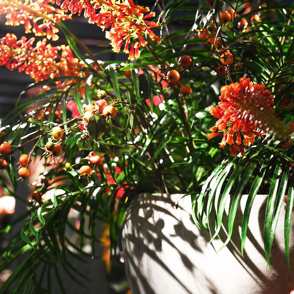 Décorations florales - Tropical Heat - COACH HOUSE