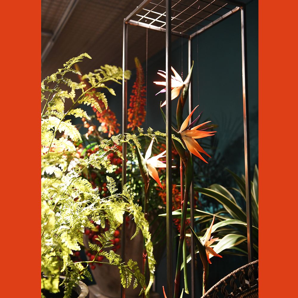 Décorations florales - Tropical Heat - COACH HOUSE