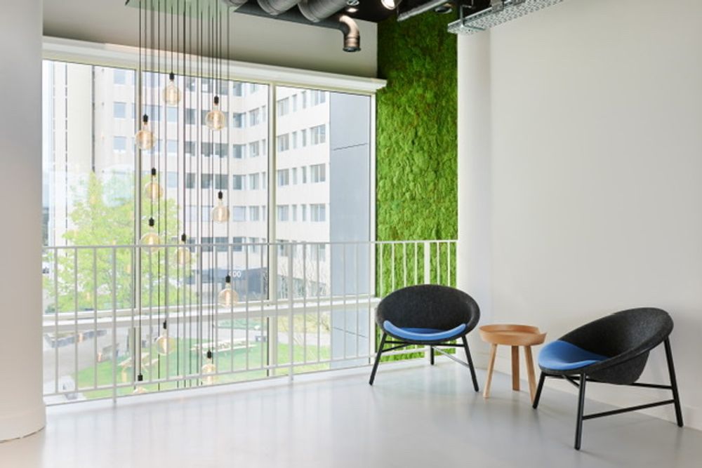 Office seating - Collodi Metal Chair  - DONAR